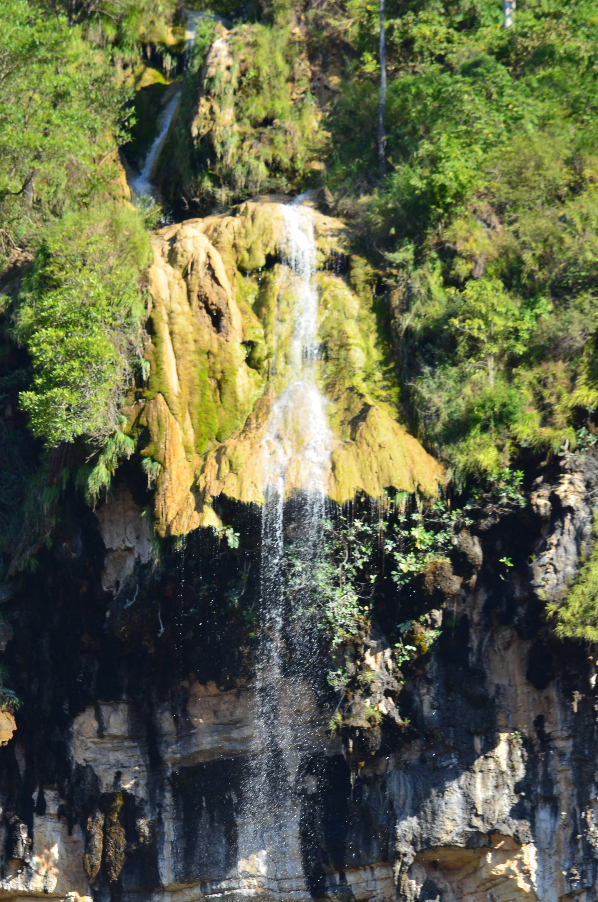 Nikon D7000 sample photo. Fhu photography