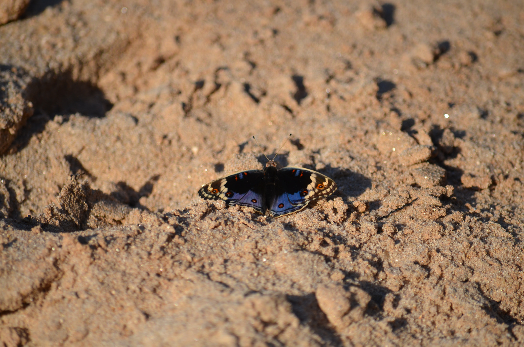 Nikon D7000 sample photo. Fhu photography