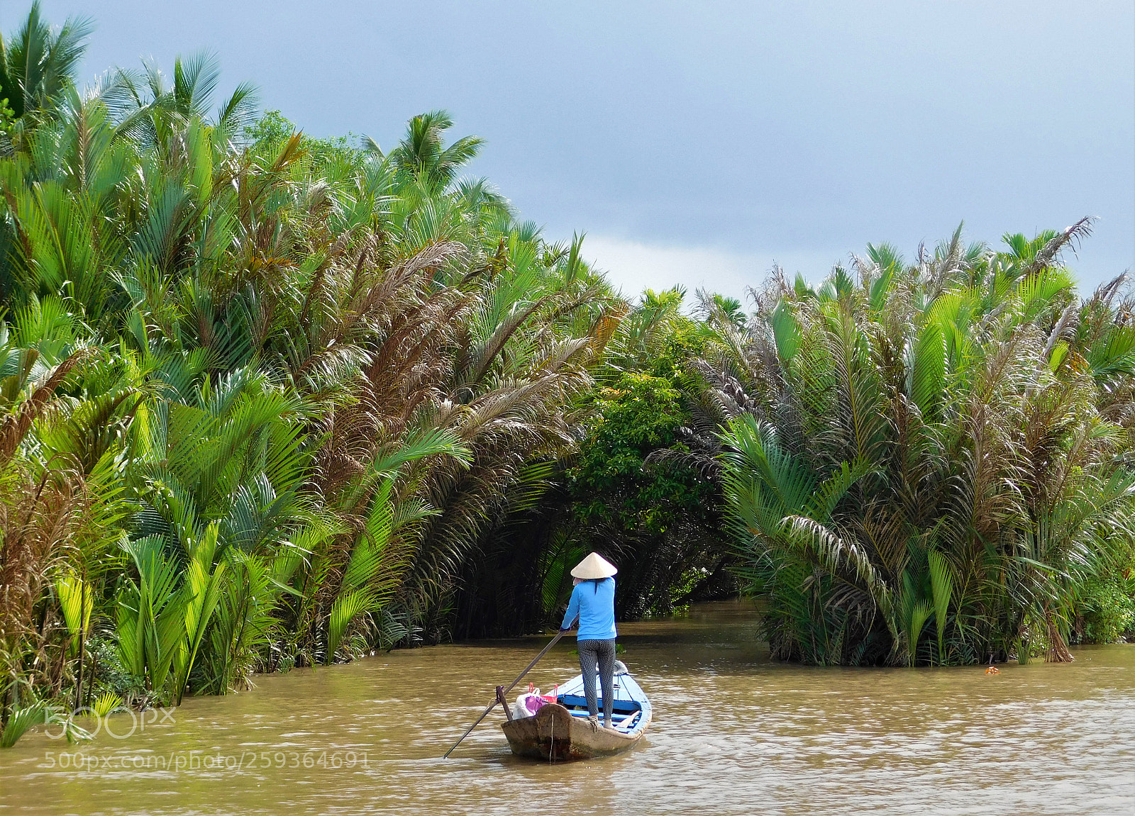 Nikon Coolpix L840 sample photo. Paddling lady at mekong photography