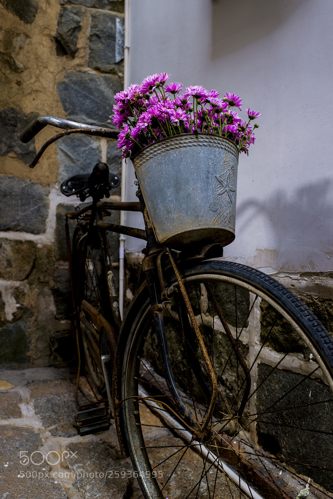 Nikon D800 sample photo. Carefree 1968 * bicycle photography
