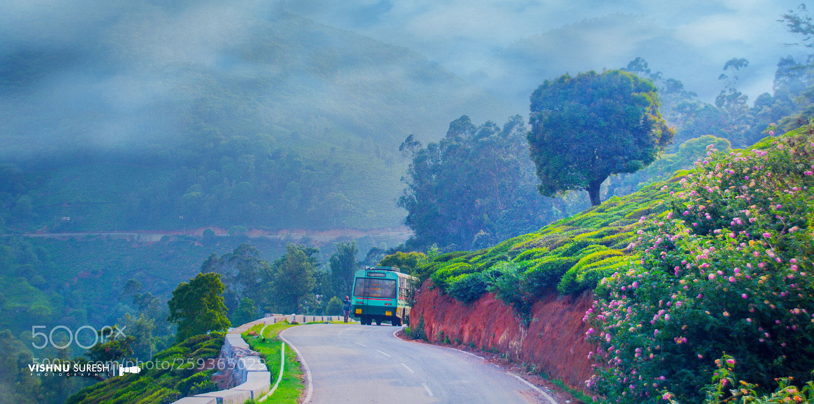 Canon EOS 60D sample photo. Road - way to photography