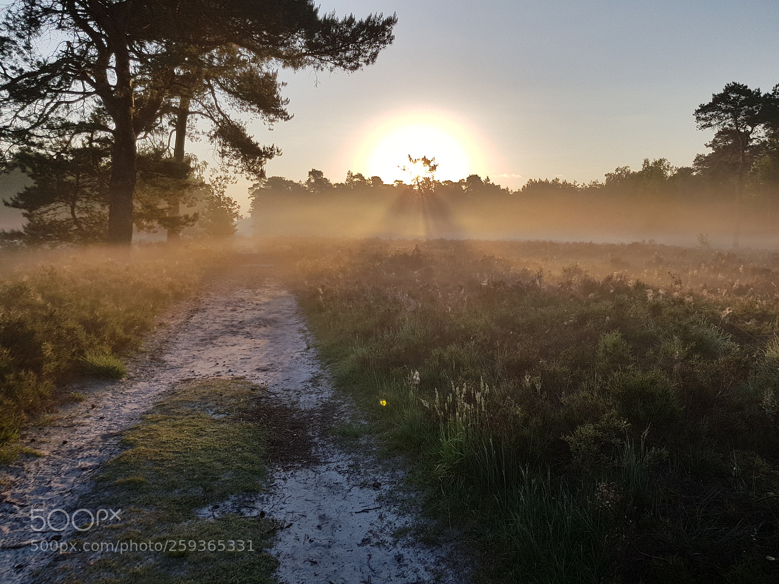 Samsung Galaxy S8 sample photo. Sunrise meerle photography