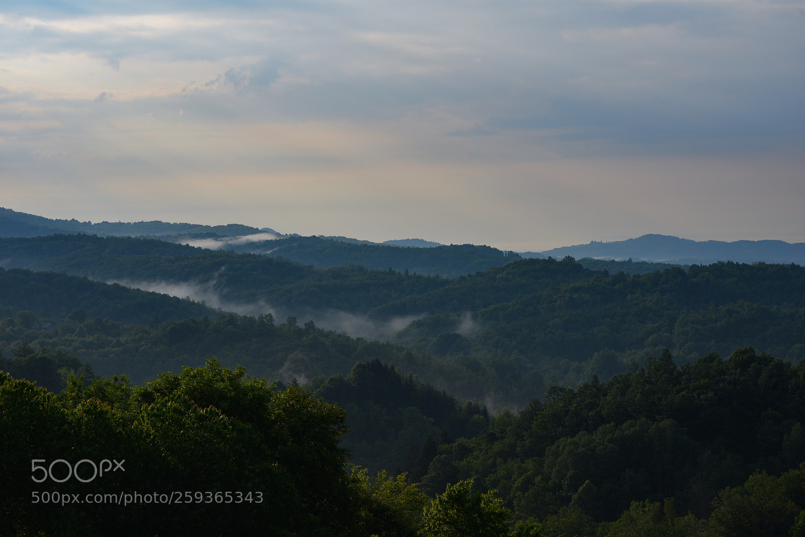 Nikon D800 sample photo. Morning after rain  photography