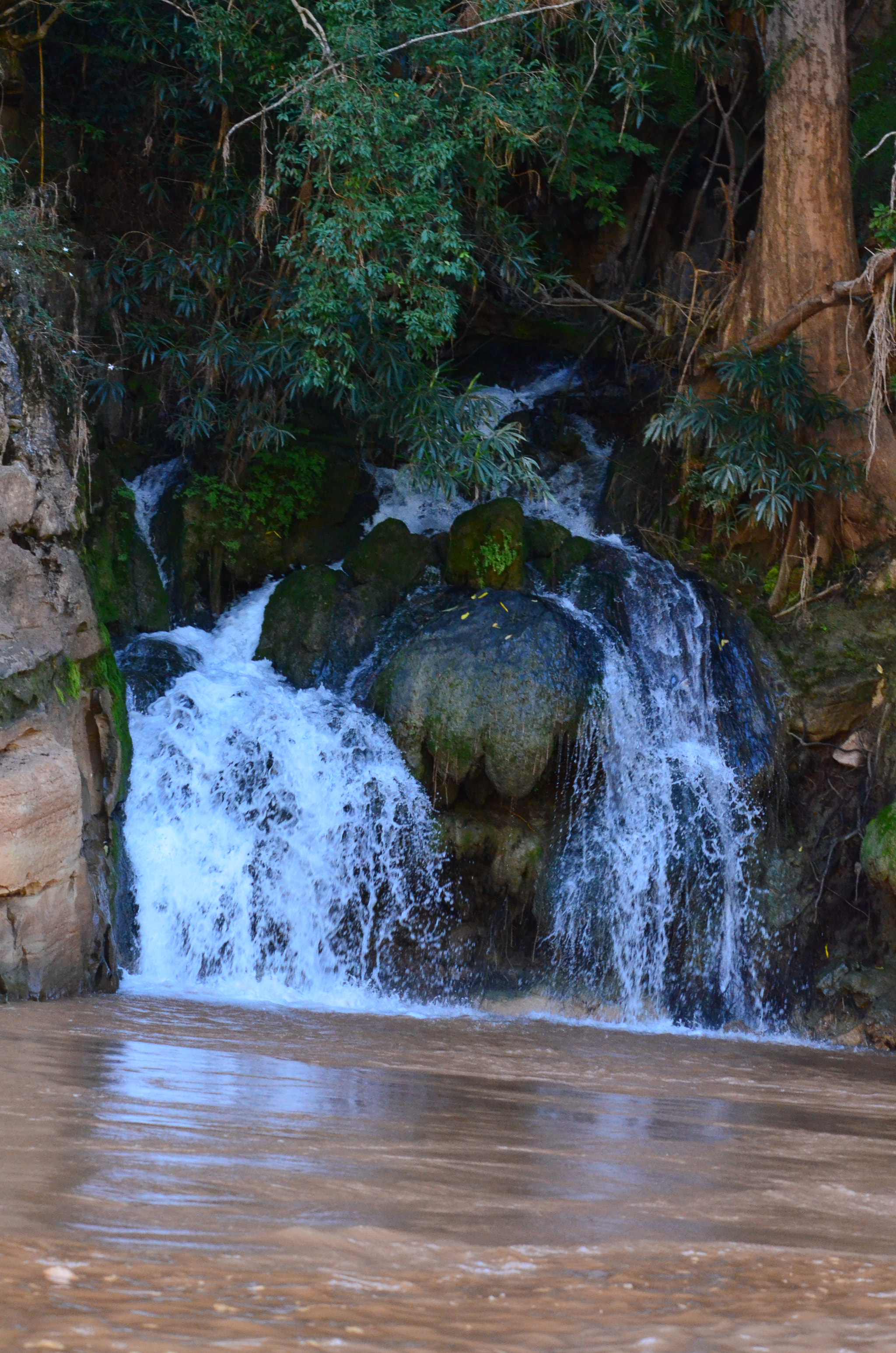 Nikon D7000 sample photo. Fhu photography