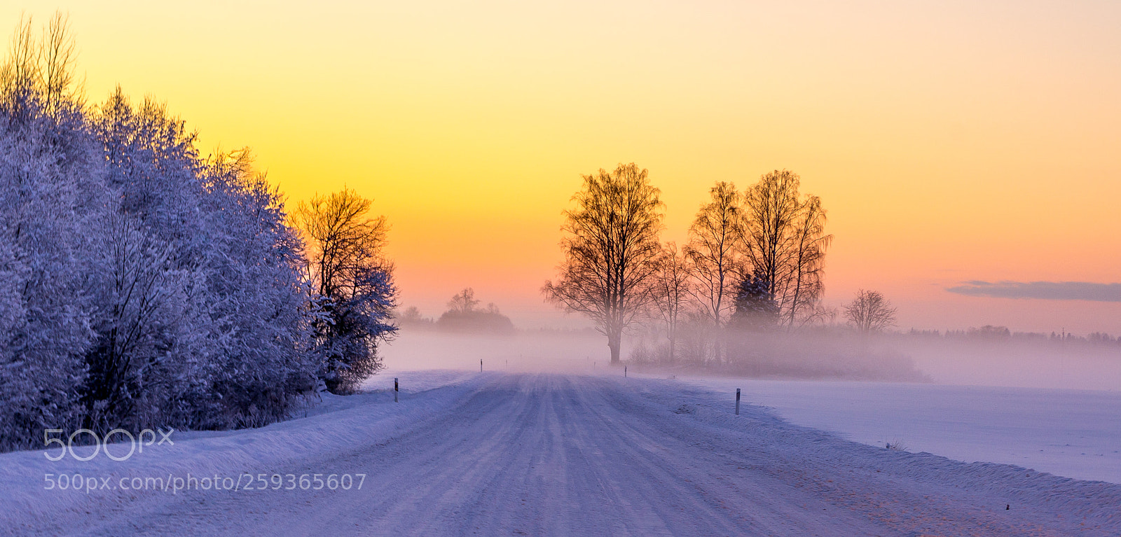 Pentax K-r sample photo. Winter fog photography