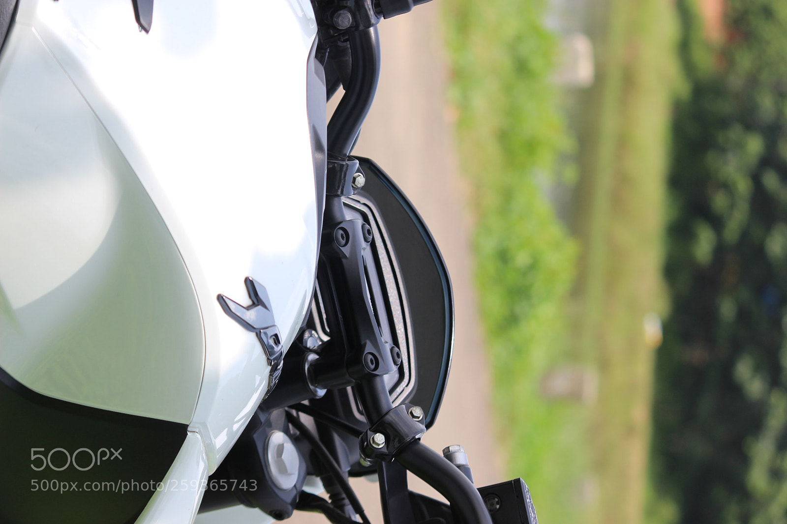 Canon EF-S 55-250mm F4-5.6 IS II sample photo. Untitled photography