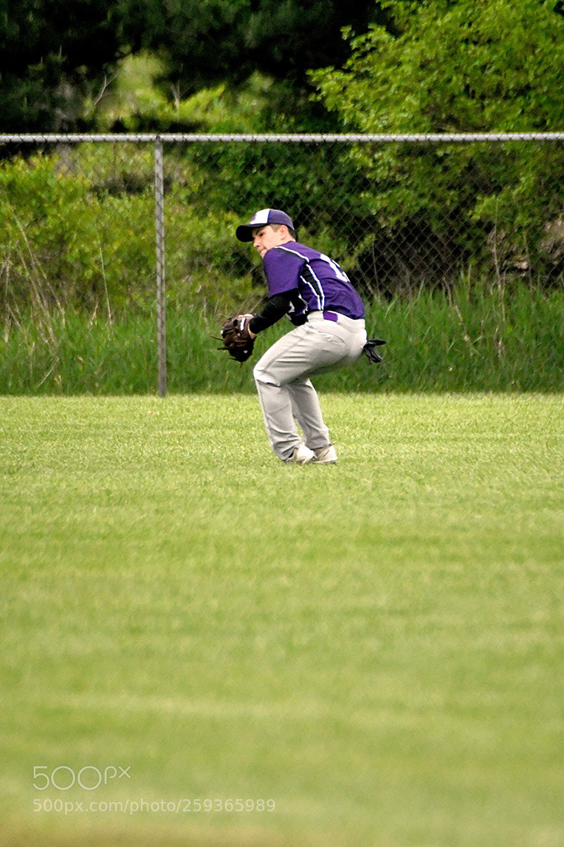 Nikon D500 sample photo. 5-18_0614.jpg photography
