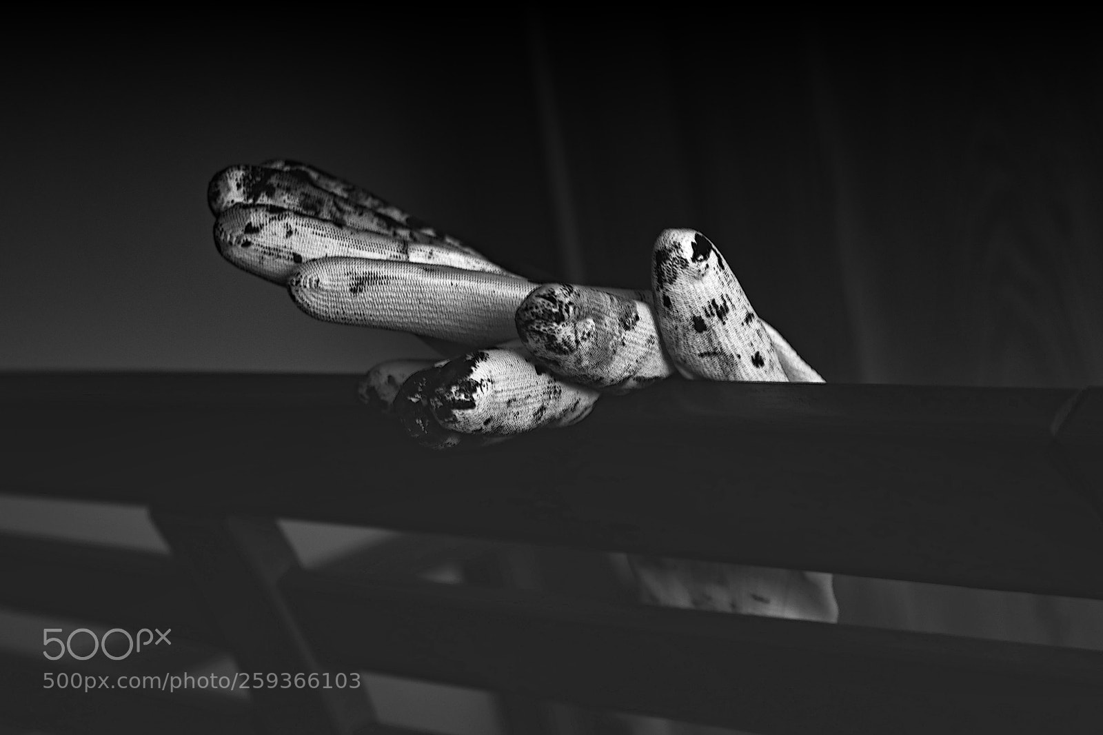 Canon EOS 80D sample photo. Abrakadabra 1...2 photography