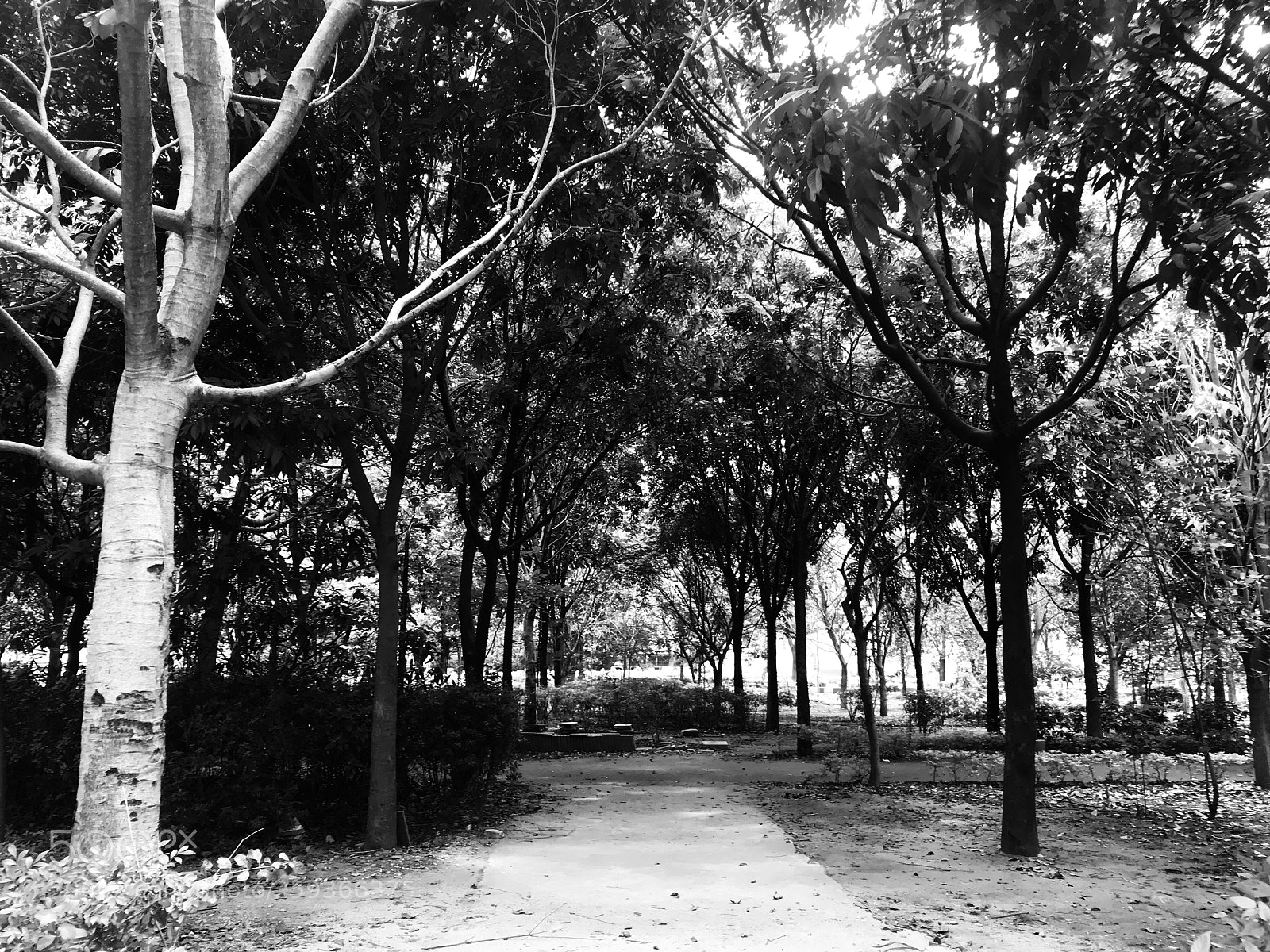 Apple iPhone 7 sample photo. Nature is always beautiful  photography