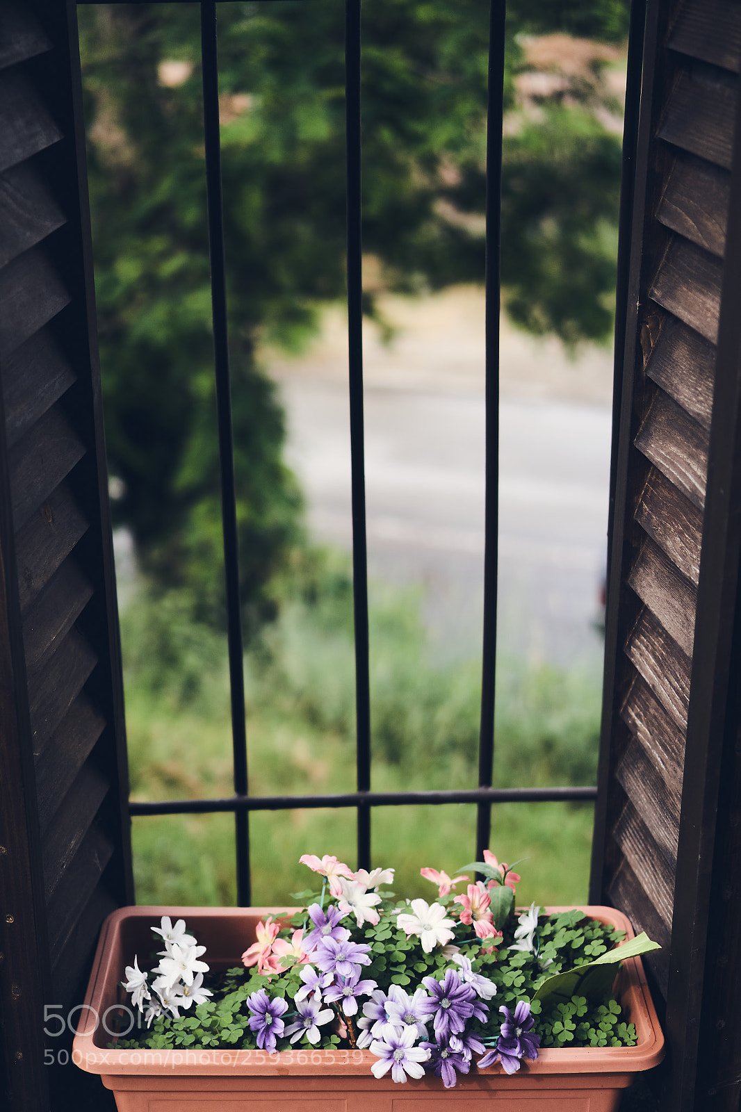 Sony Alpha a5000 (ILCE 5000) sample photo. Through the window photography