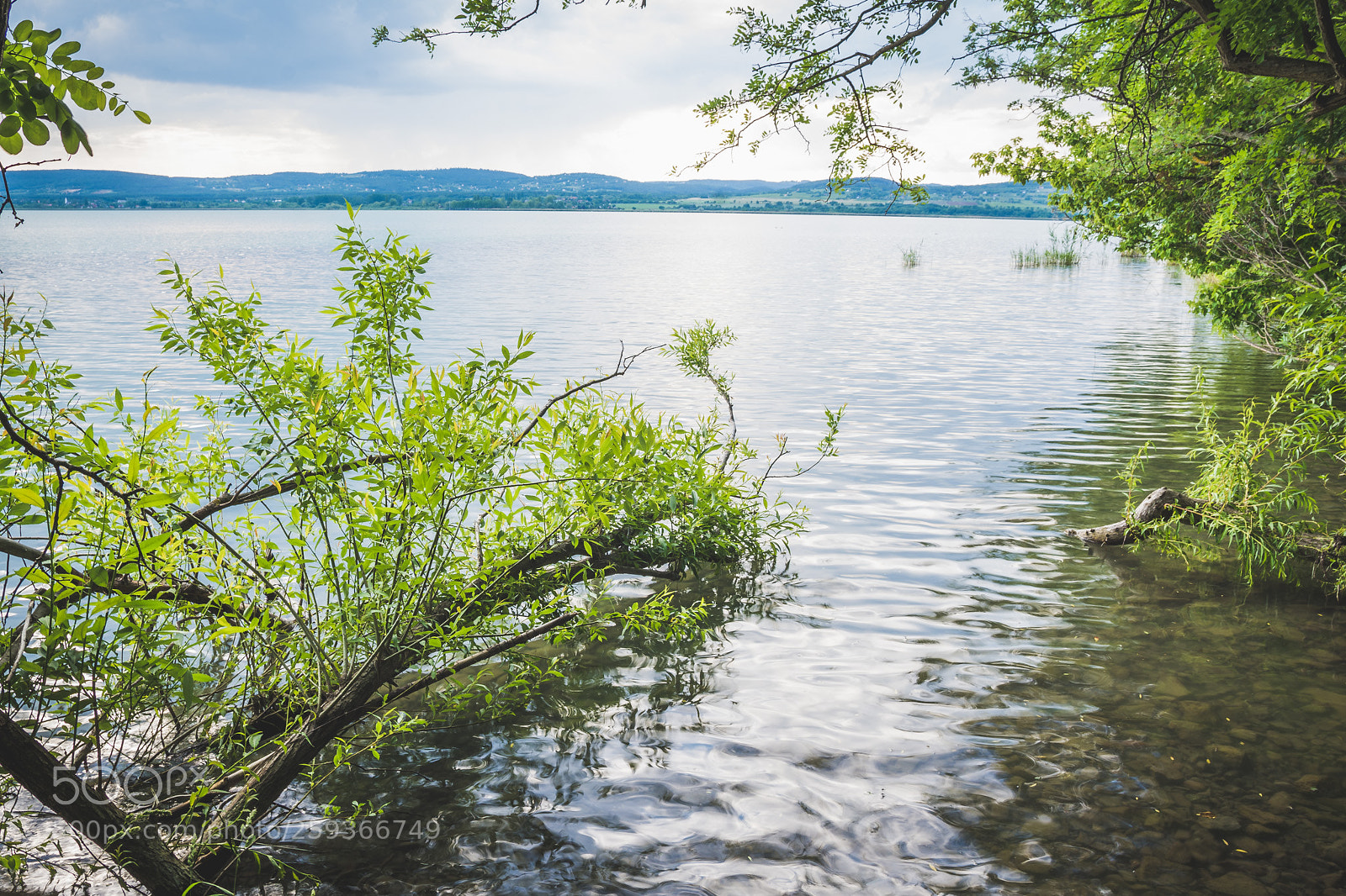 Nikon D7200 sample photo. Lakeside at sajkod photography