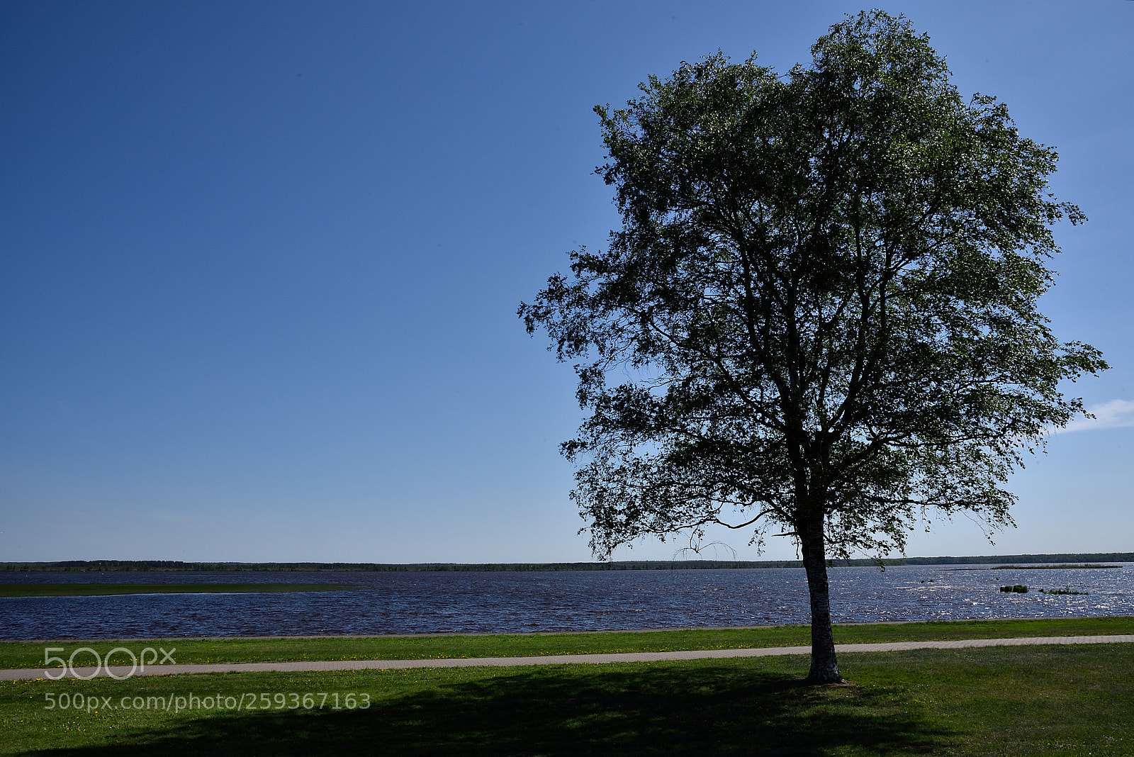 Nikon AF-S Nikkor 24-120mm F4G ED VR sample photo. Summer photography