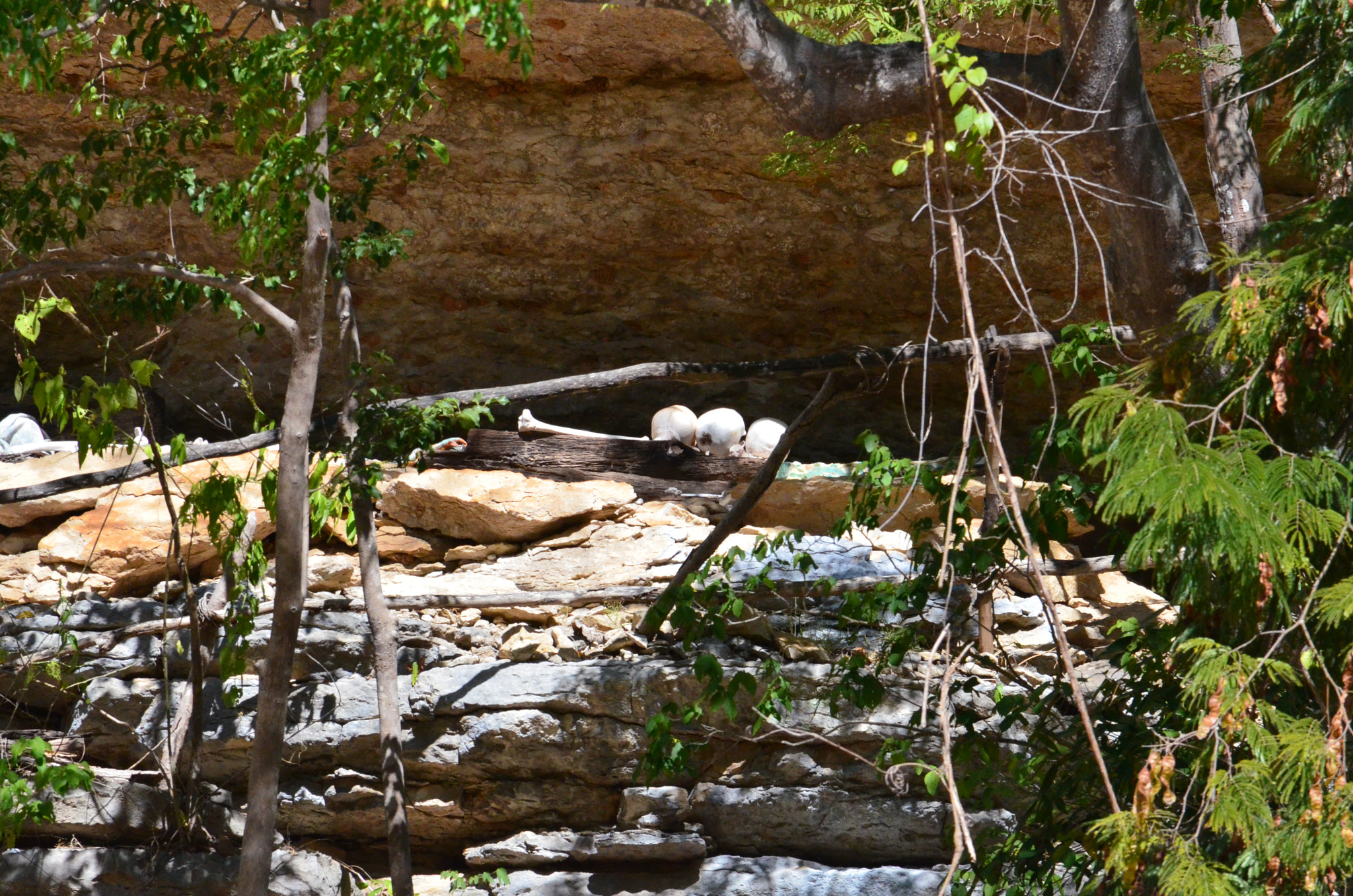 Nikon D7000 sample photo. Fhu photography