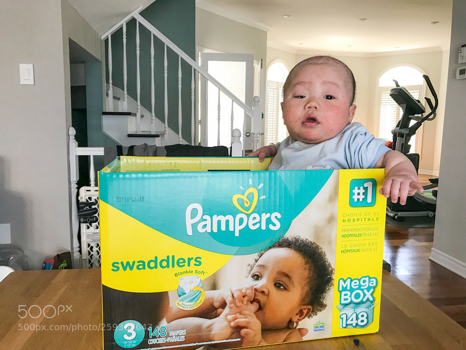Apple iPhone 7 Plus sample photo. Pampers photography
