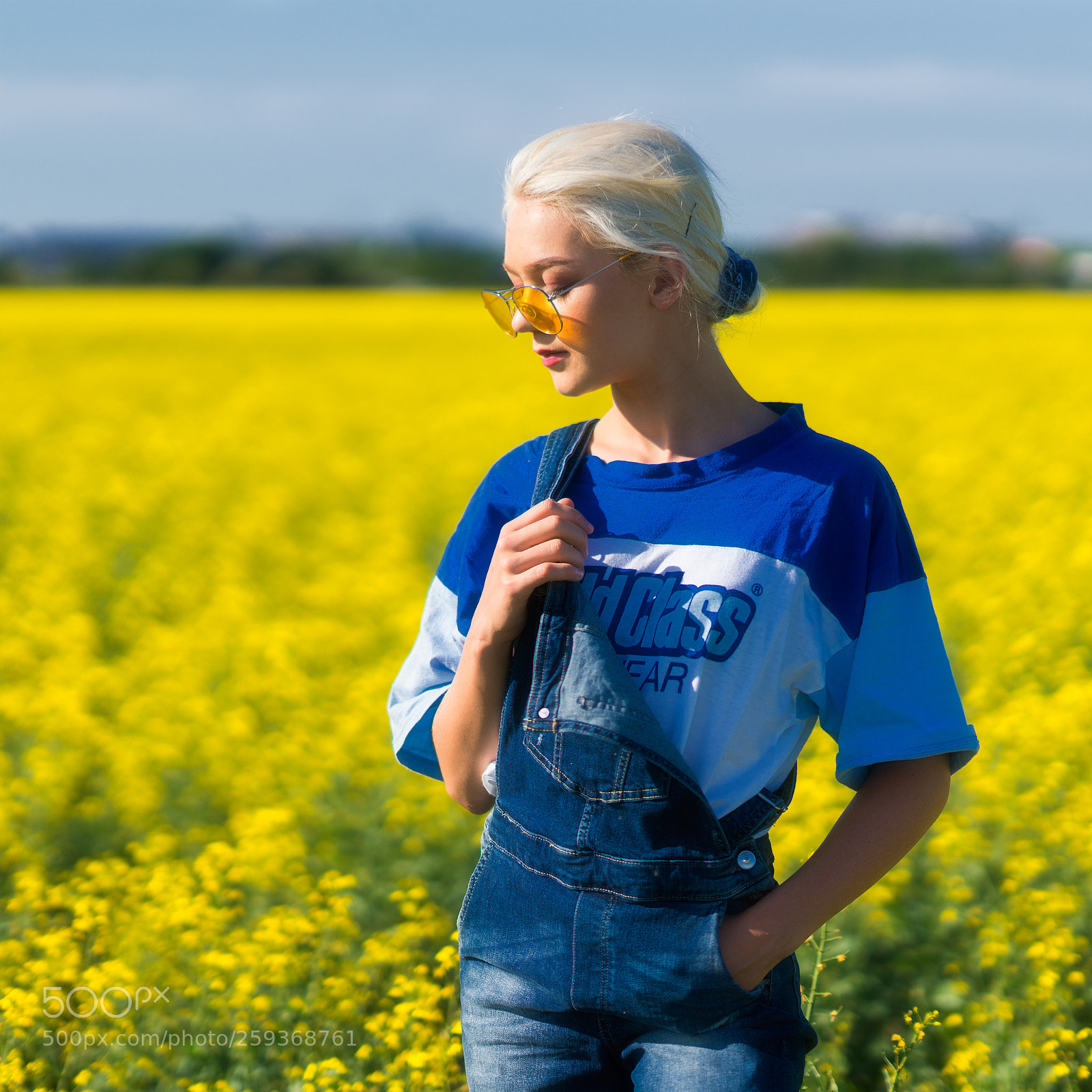 Sony a7R III sample photo. Yellow field photography