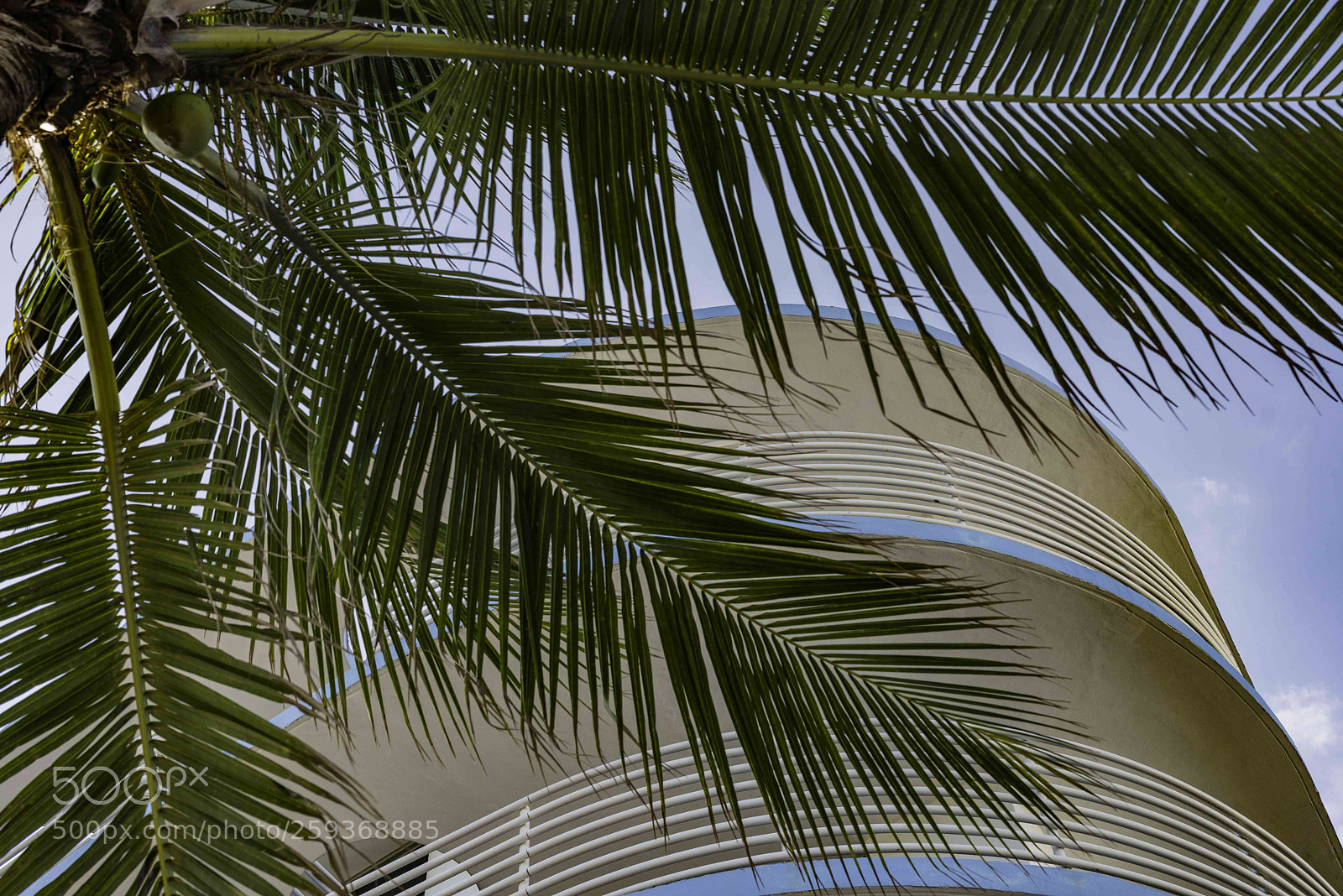 Nikon D800 sample photo. Untitled photography