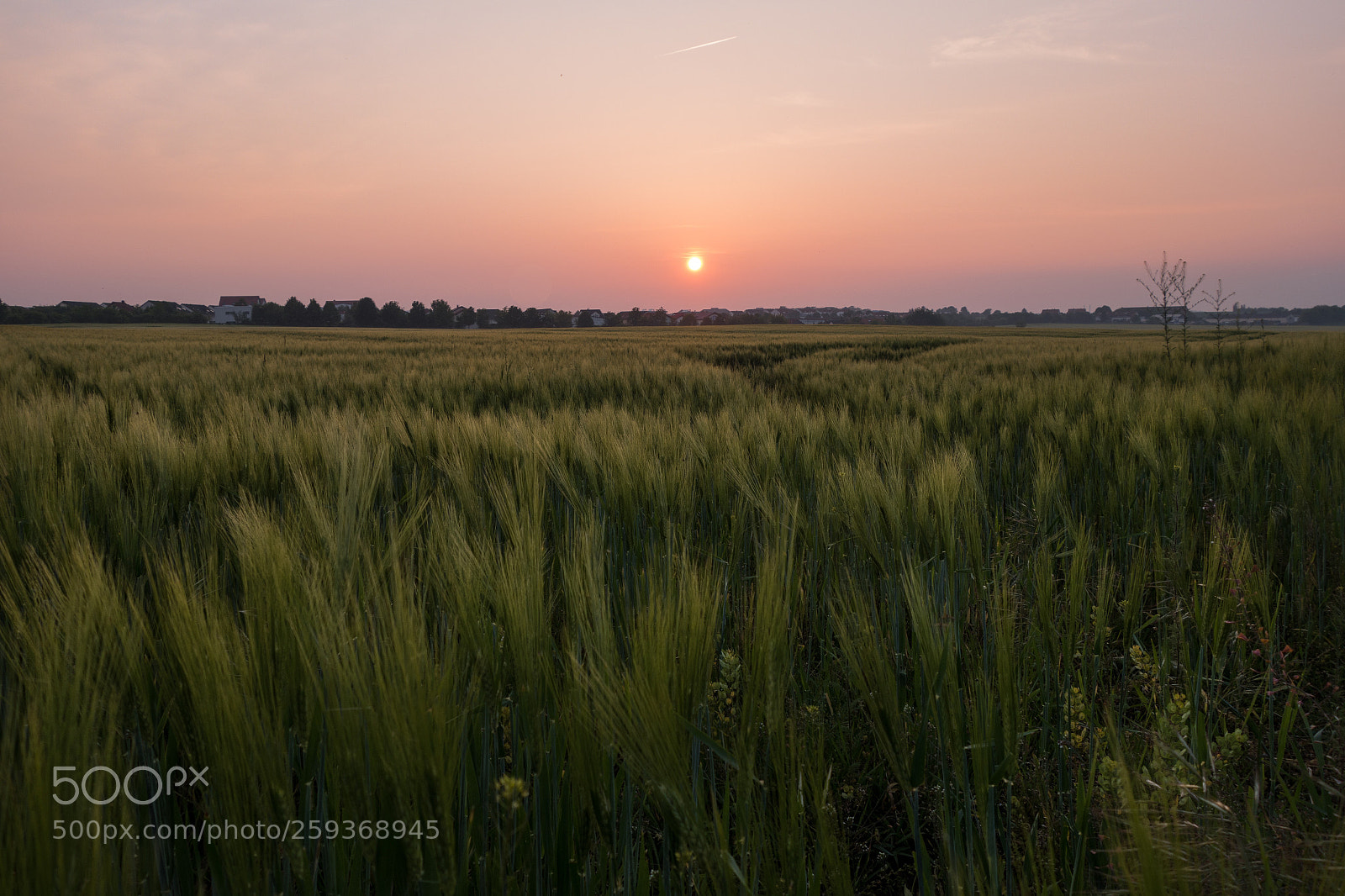 Sony Cyber-shot DSC-RX100 II sample photo. Sunset  photography