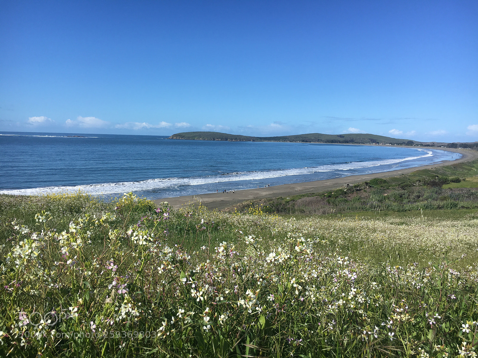 Apple iPhone 6s sample photo. Spring time at beach photography