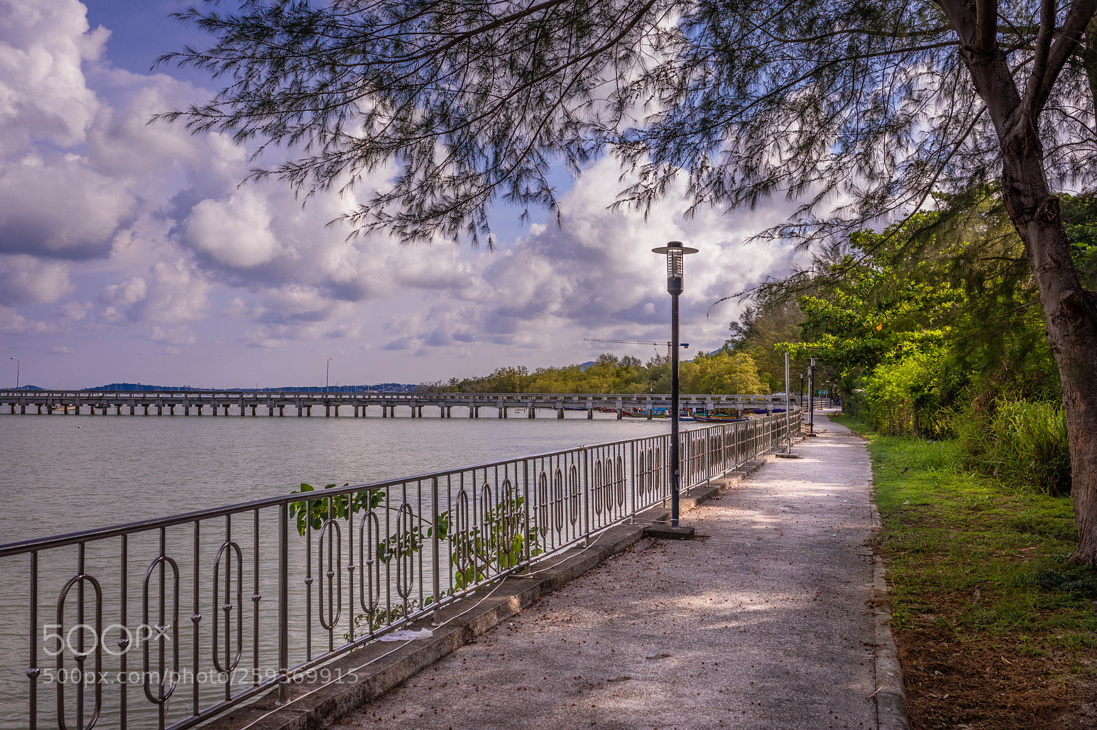 Canon EOS 5D Mark IV sample photo. Walking here photography