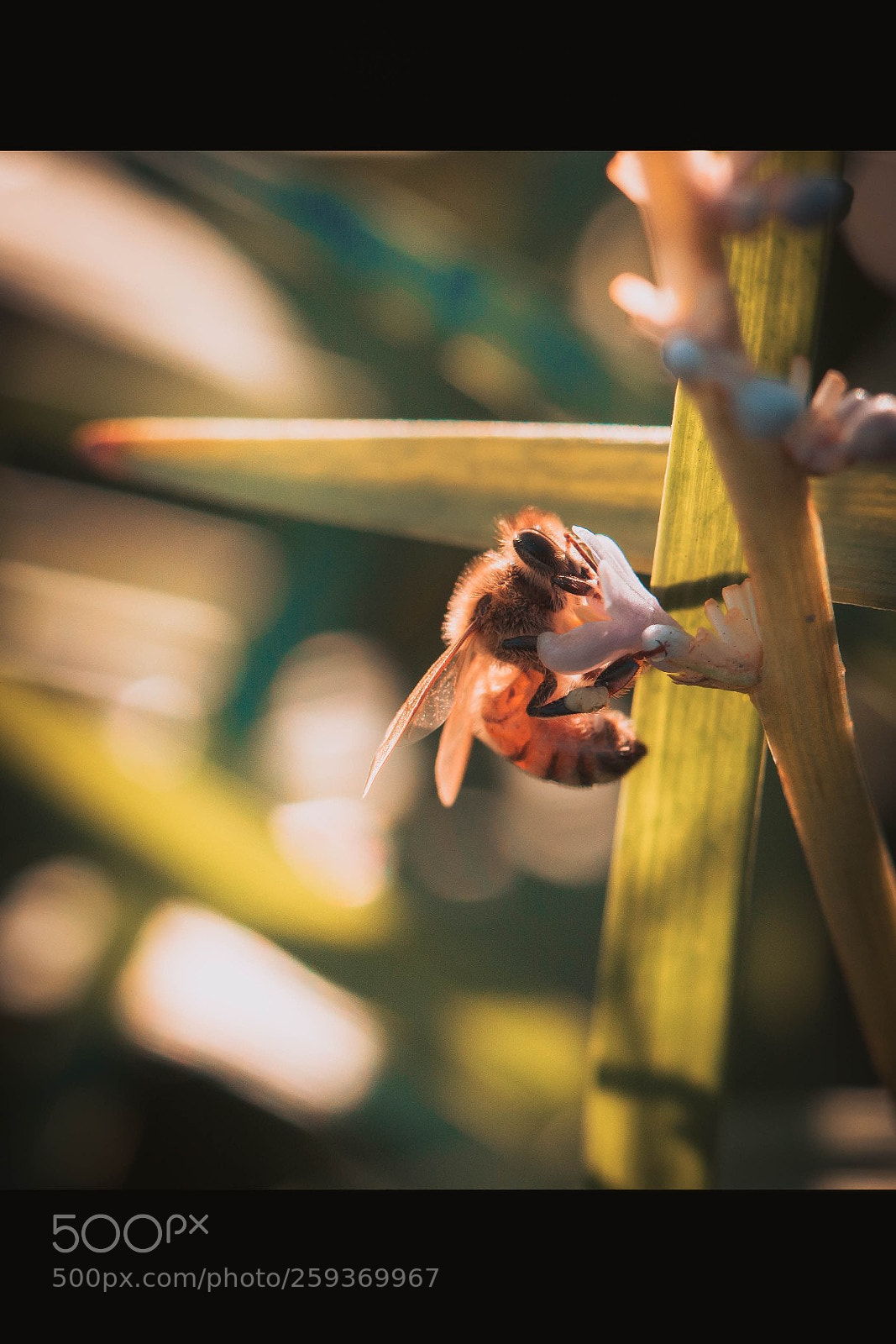 Canon EOS 6D sample photo. Untitled photography
