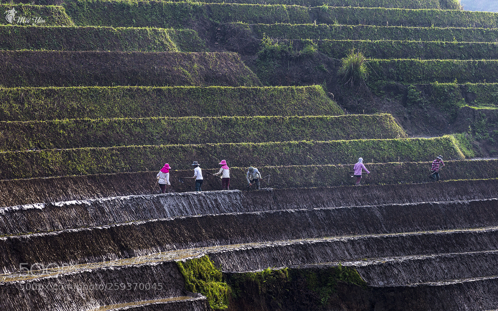 Canon EOS 6D sample photo. Labor on terraced fields 2 photography