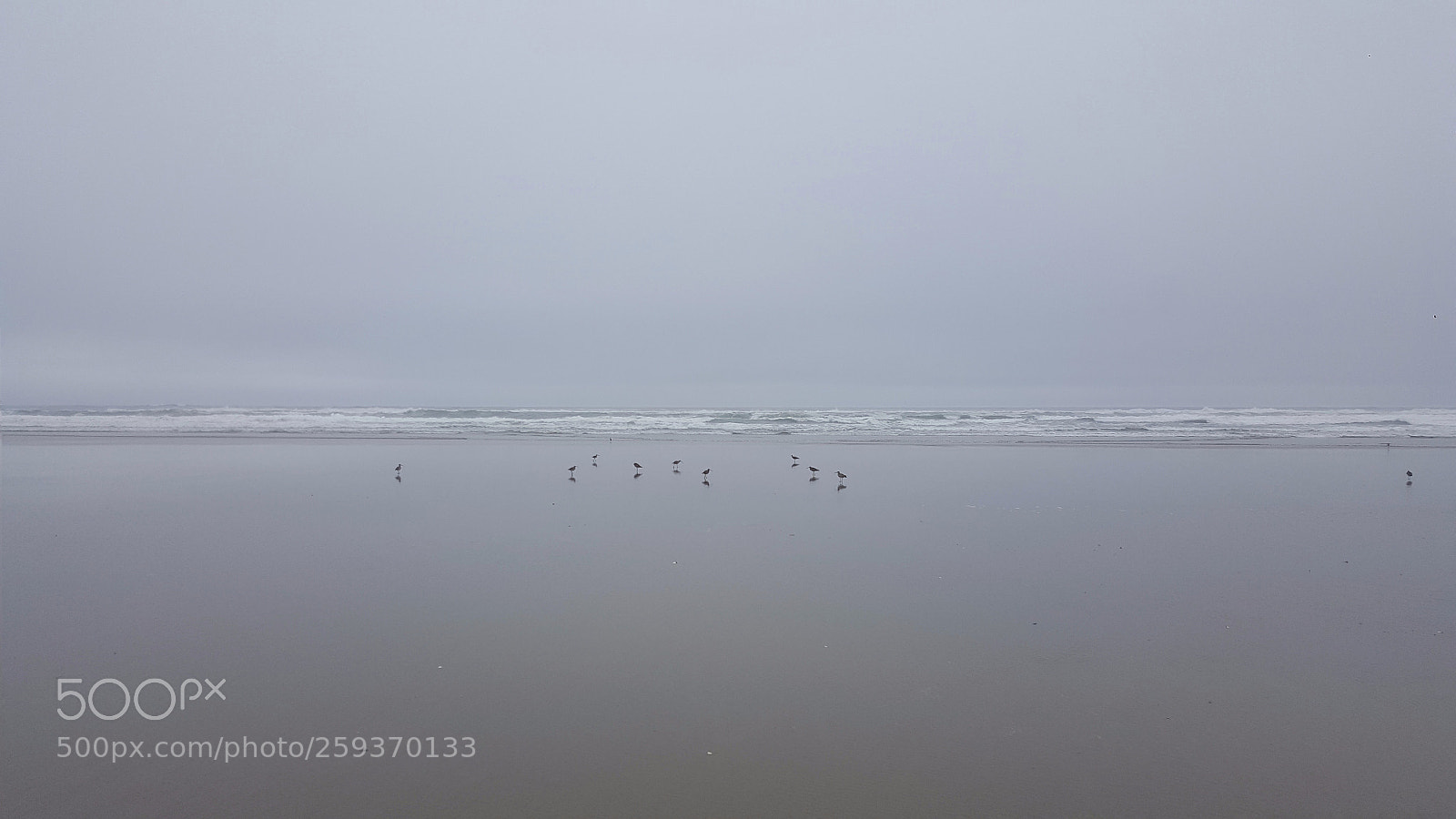 Samsung Galaxy Note5 sample photo. Newport, oregon photography
