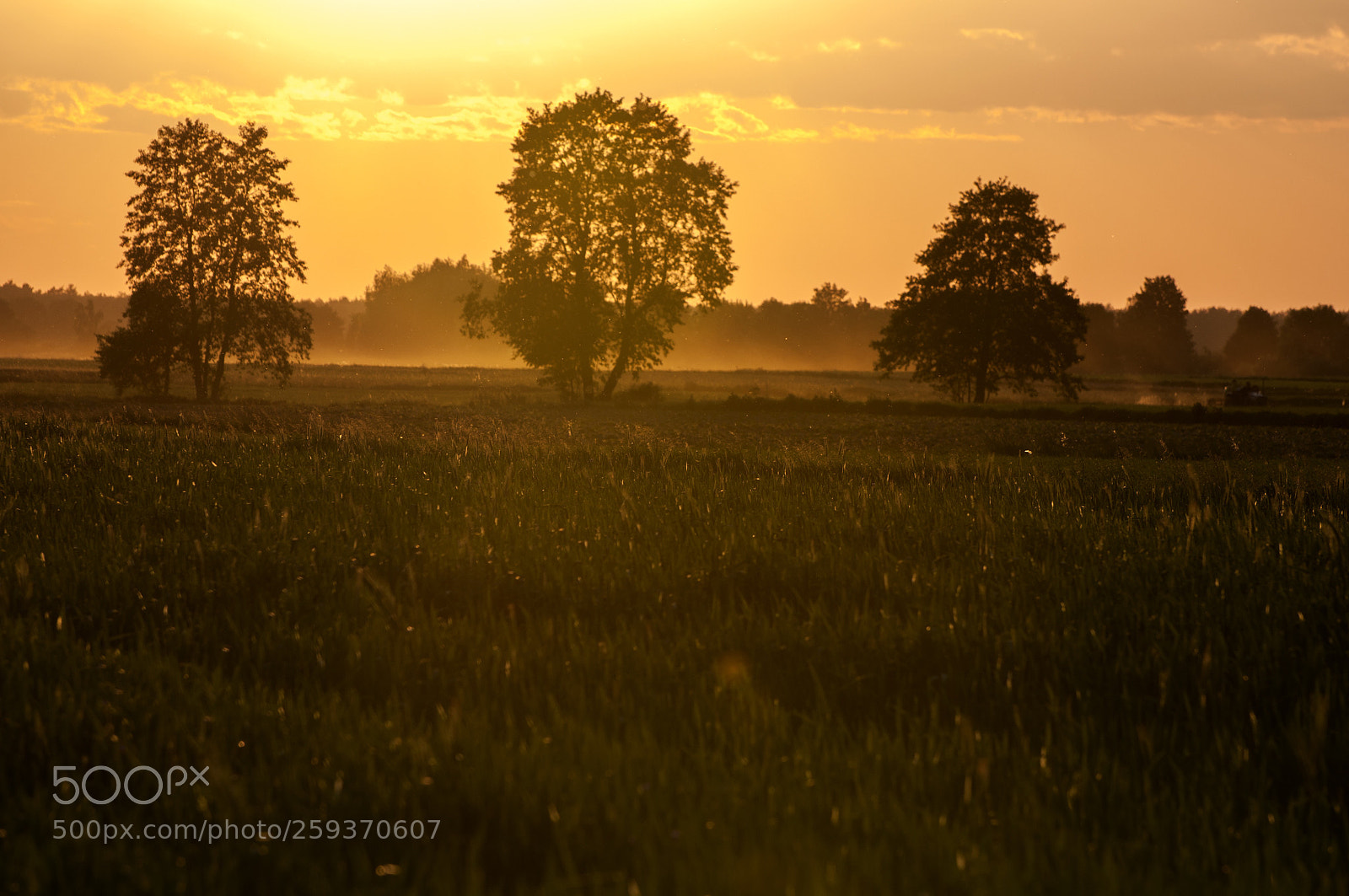 Nikon D90 sample photo. Sunset time photography