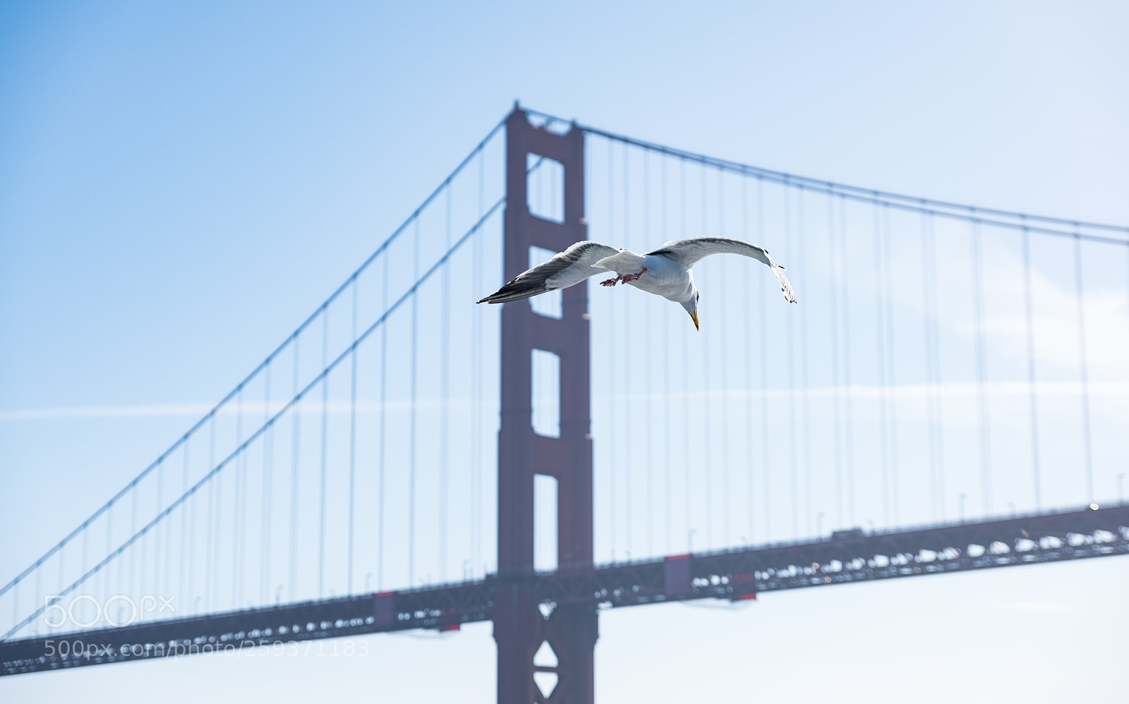 Nikon D810 sample photo. Scaling new heights!! photography