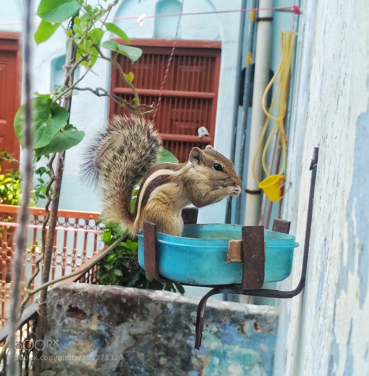 Xiaomi Redmi 3S sample photo. But let me eat photography