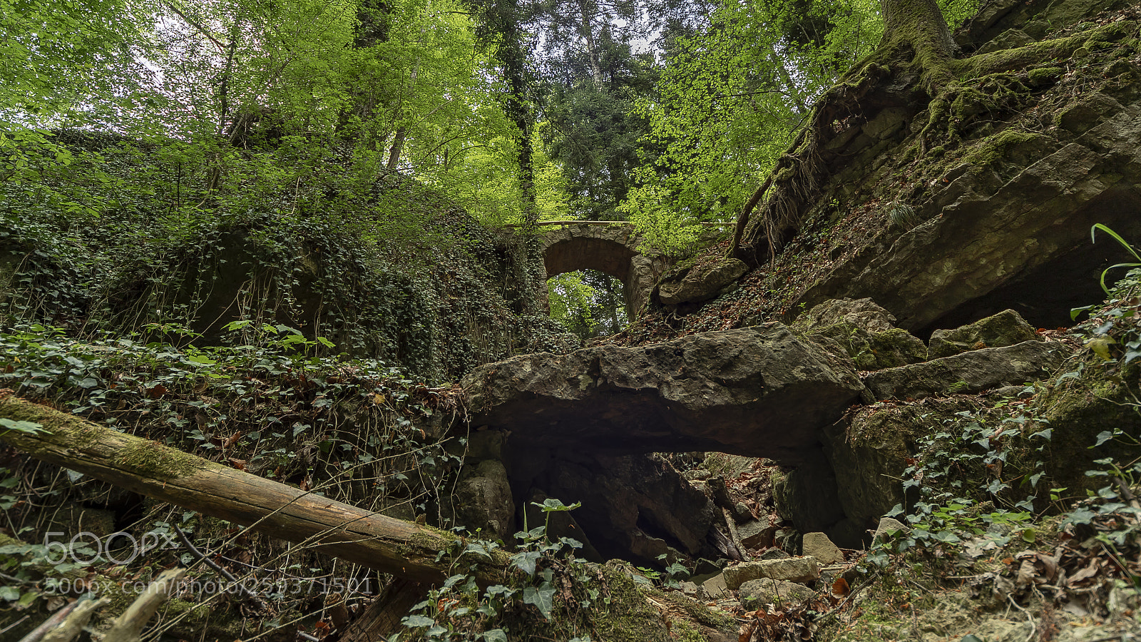 Canon EOS 6D Mark II sample photo. The portal photography
