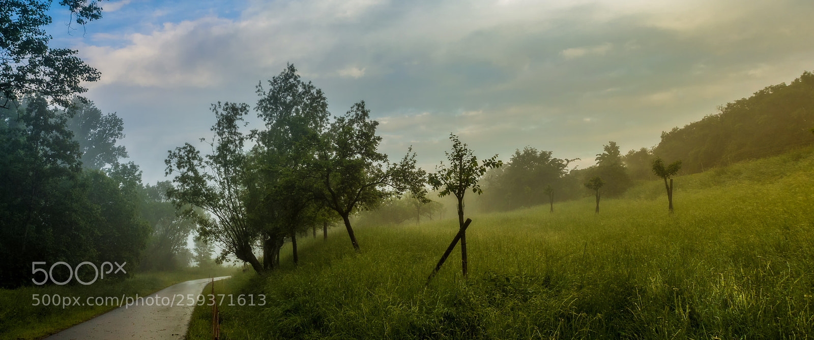 Canon EOS 60D sample photo. Sunny morning with morning photography