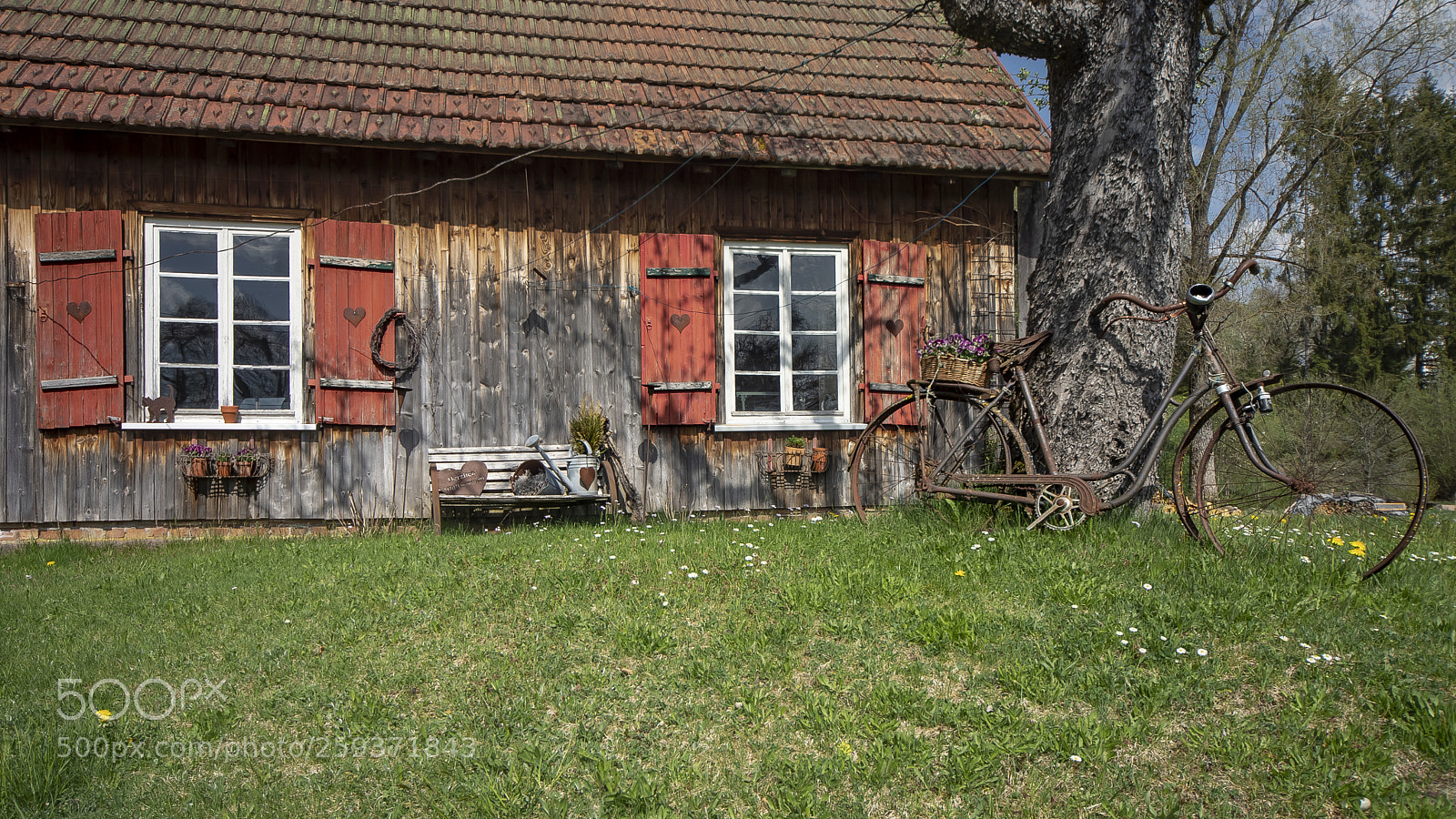 Canon EOS 6D Mark II sample photo. Garden still scene photography
