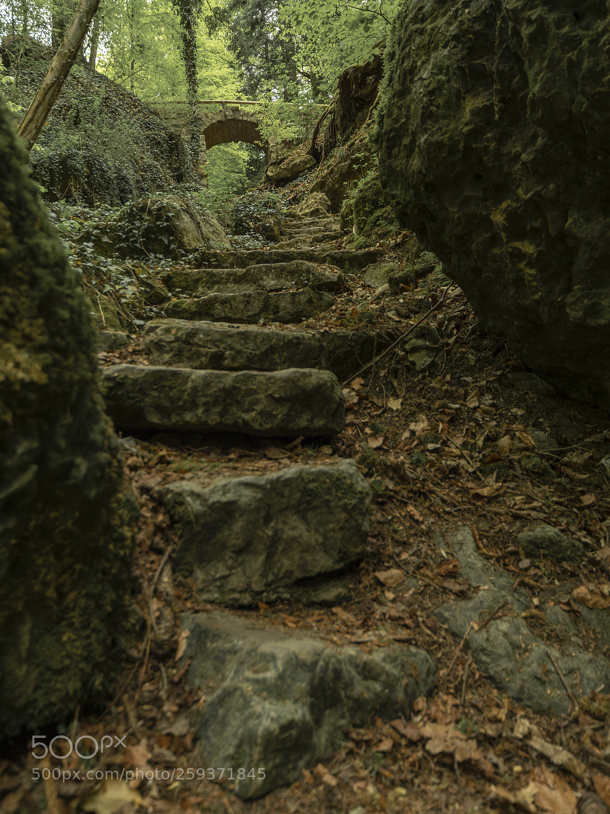 Canon EOS 6D Mark II sample photo. The gate photography