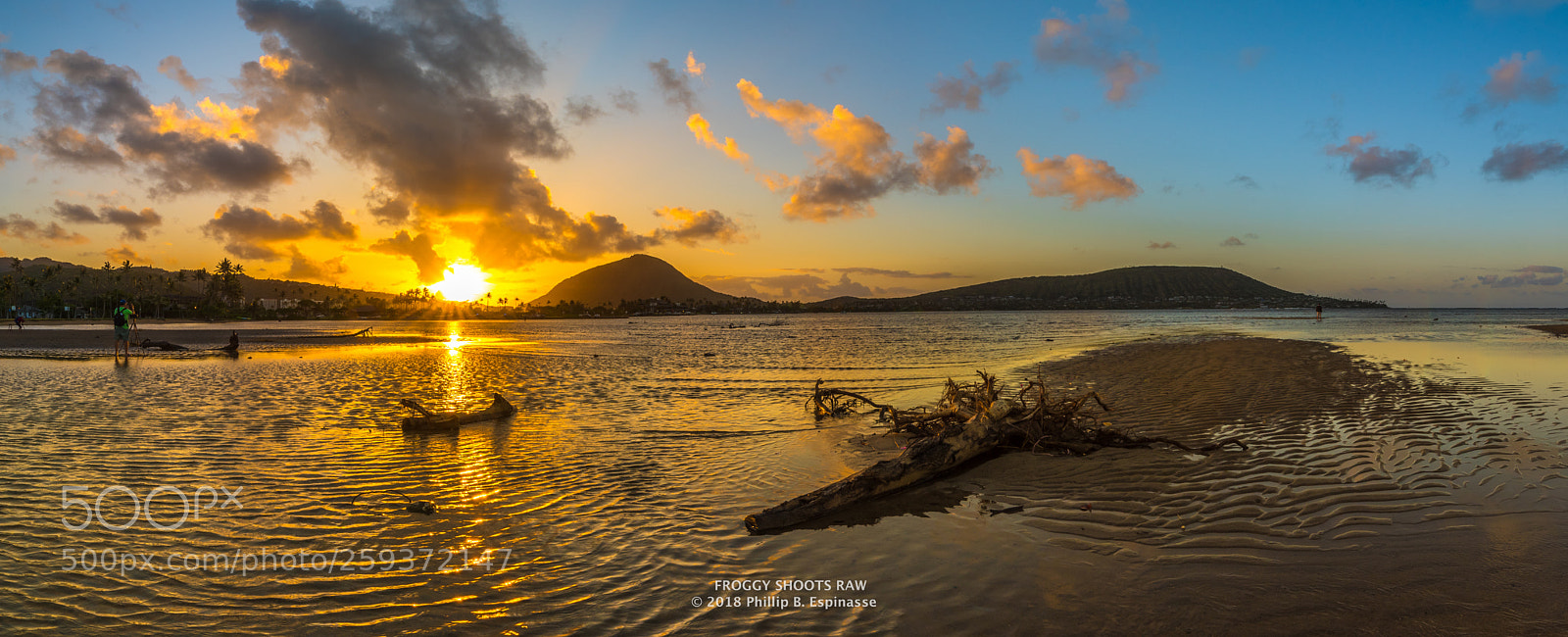 Nikon D750 sample photo. Carpe diem ! photography