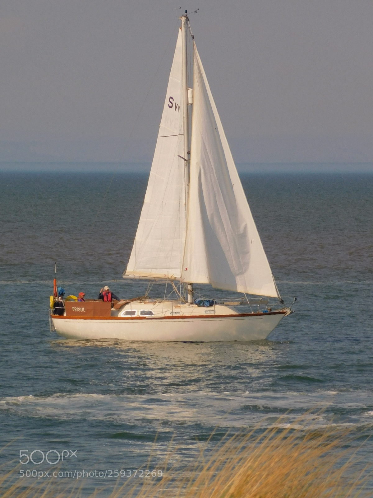 Nikon Coolpix B500 sample photo. Sunny sailing. photography