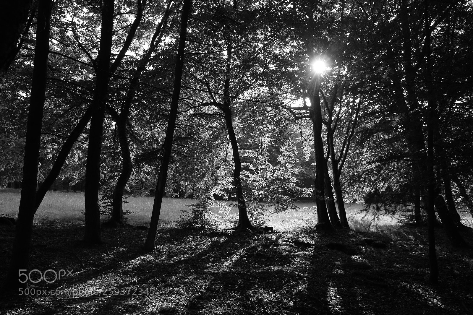 Canon EOS 70D sample photo. Coucher de soleilen for photography