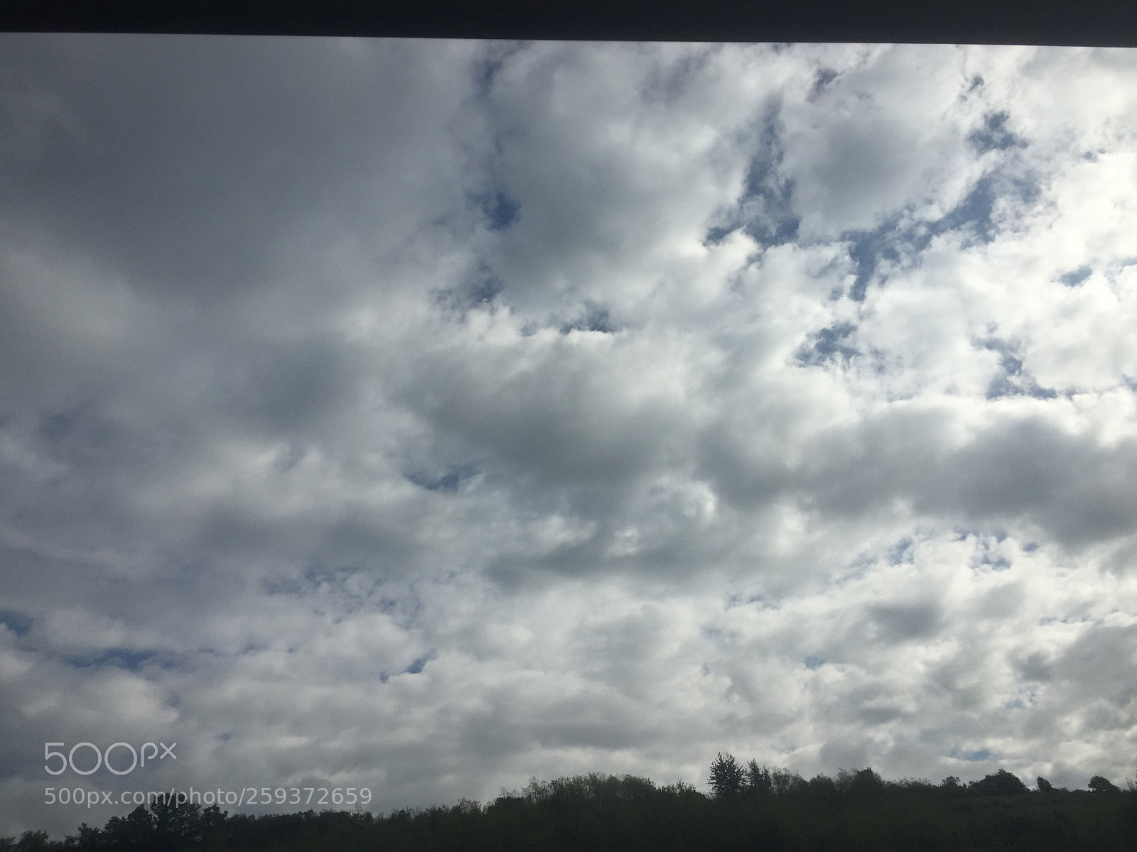 Apple iPhone 6 sample photo. Untitled photography