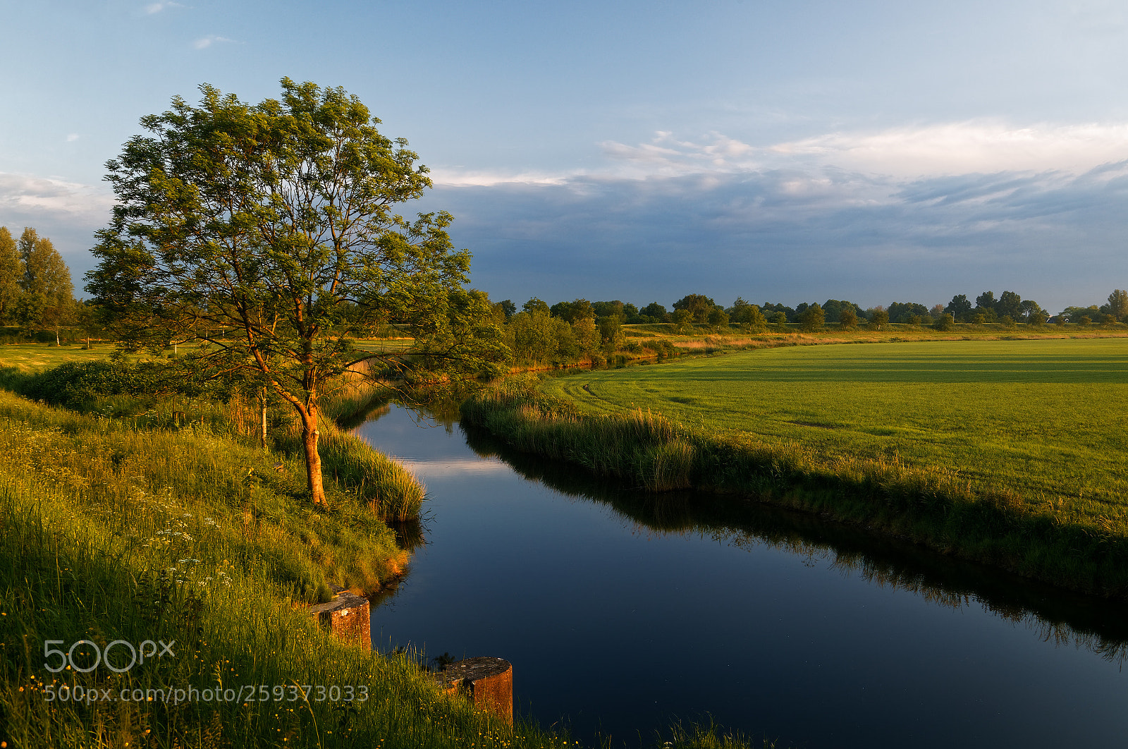 Canon EOS 6D sample photo. Morning photography