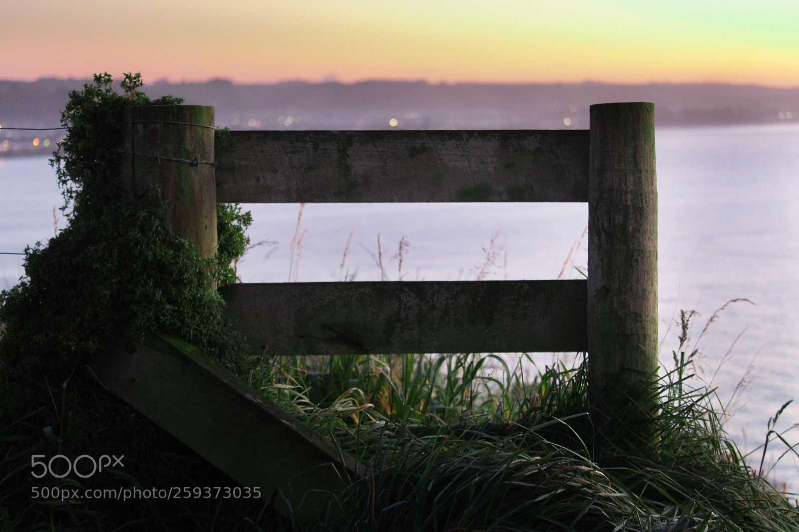 Canon EOS 700D (EOS Rebel T5i / EOS Kiss X7i) sample photo. Bush around fence with photography