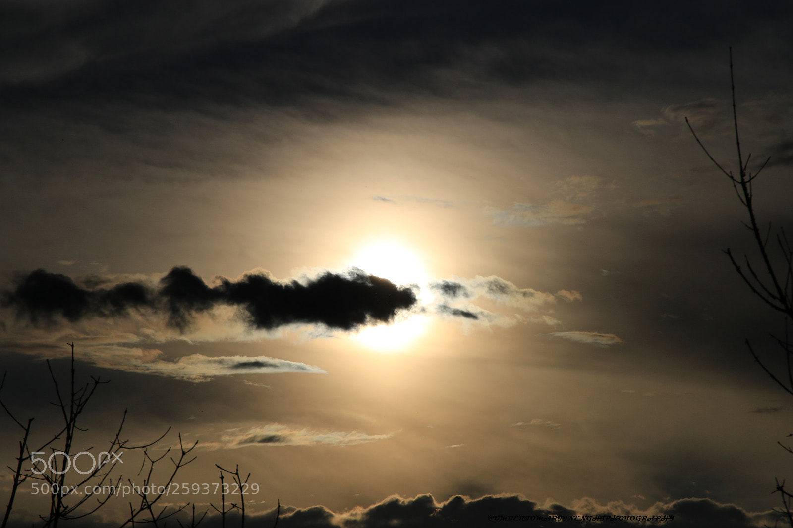 Canon EOS 7D Mark II sample photo. Looking the sky photography