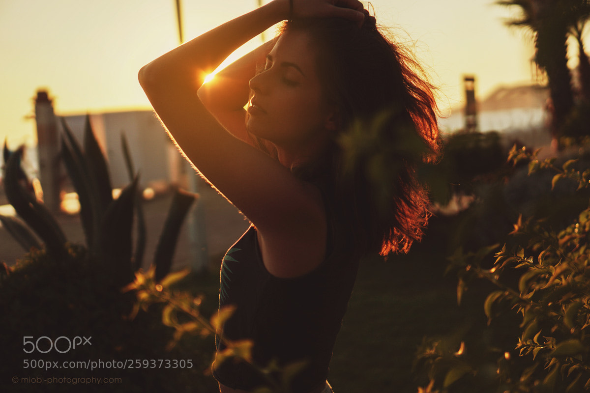 Sony a6500 sample photo. 462 photography