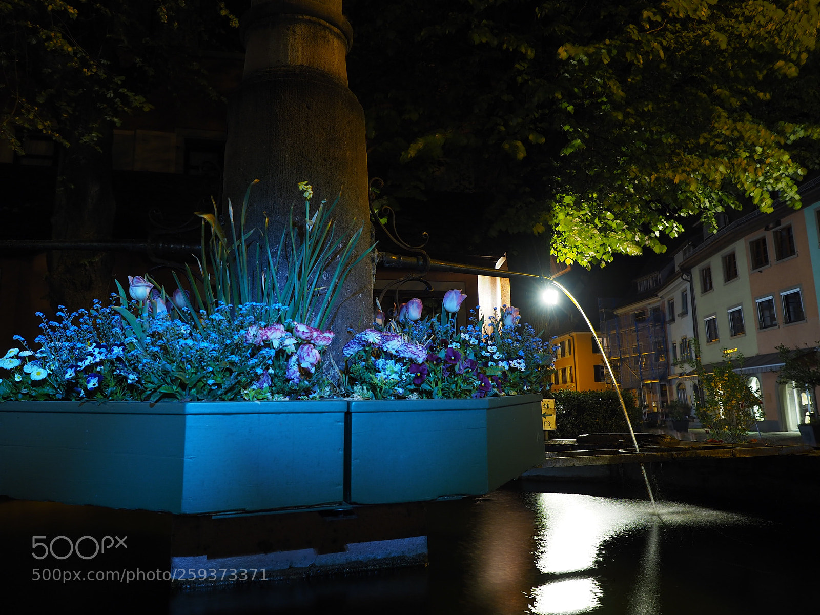 Olympus OM-D E-M10 II sample photo. A bouquet at night photography