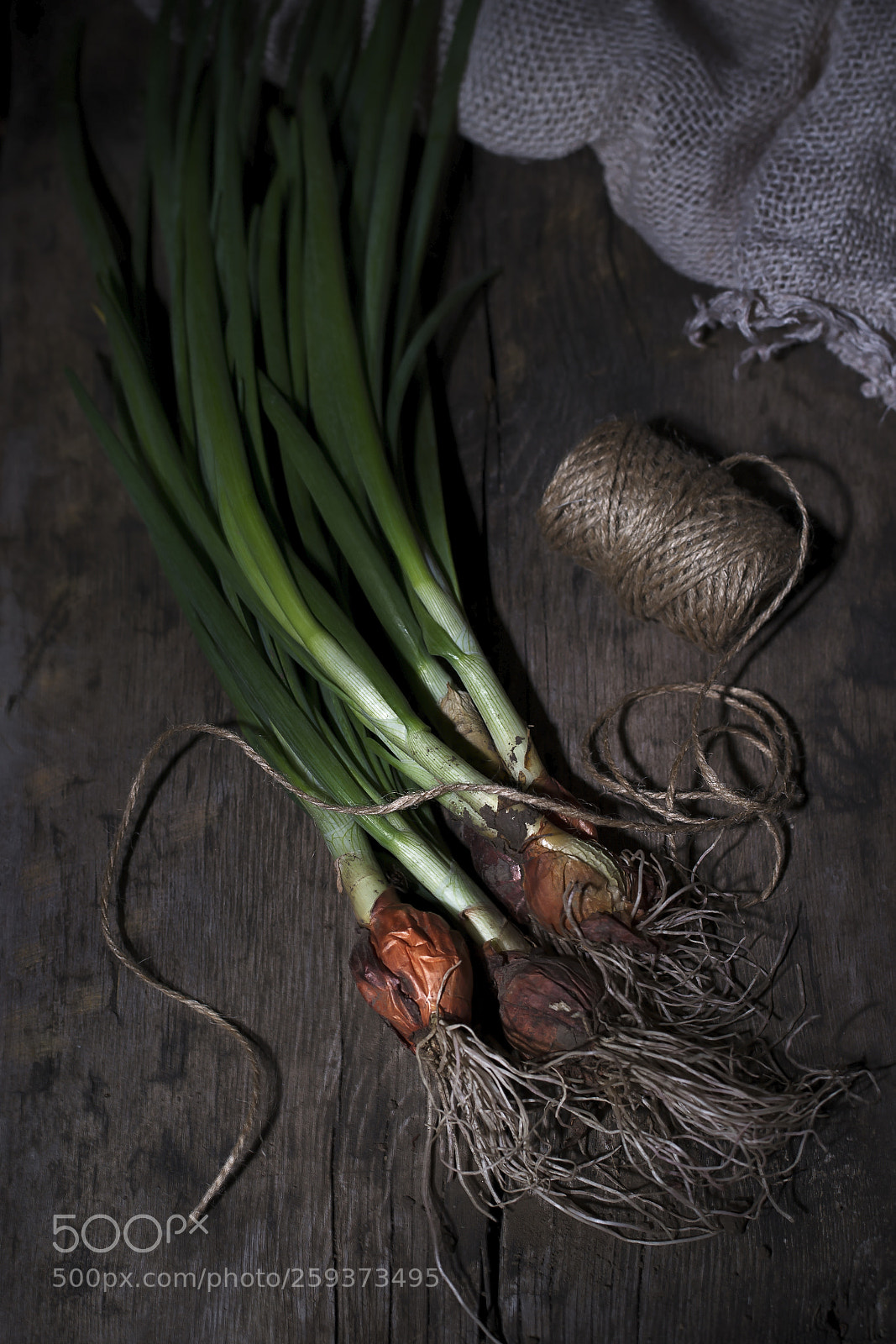 Nikon D610 sample photo. A bunch of green photography