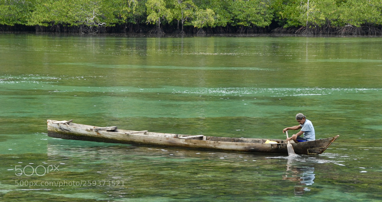 Nikon D200 sample photo. The loner photography