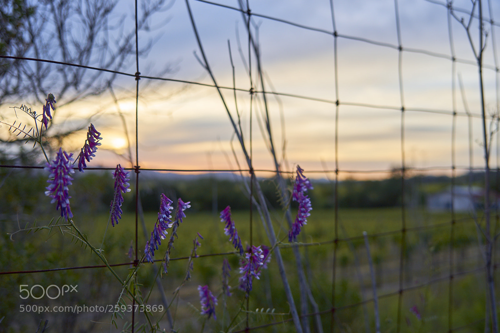 Sony a7 II sample photo. Gone country photography