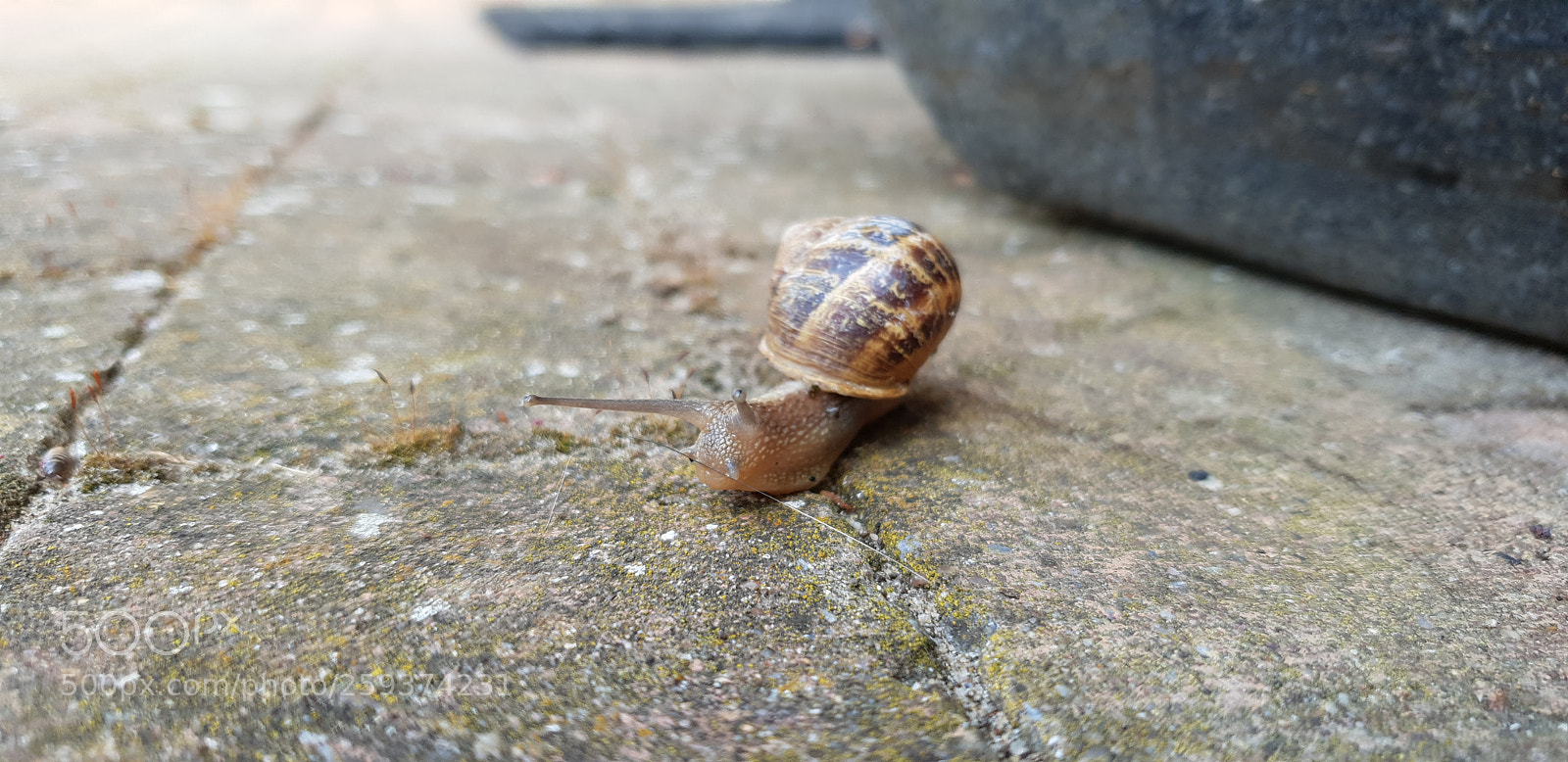 Samsung Galaxy S9+ sample photo. Untitled photography