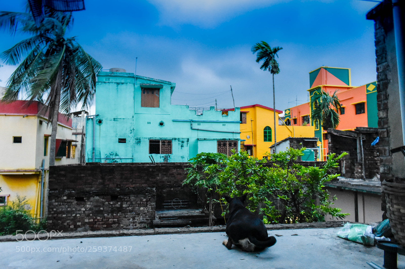 Nikon D3400 sample photo. Unanswered questions photography