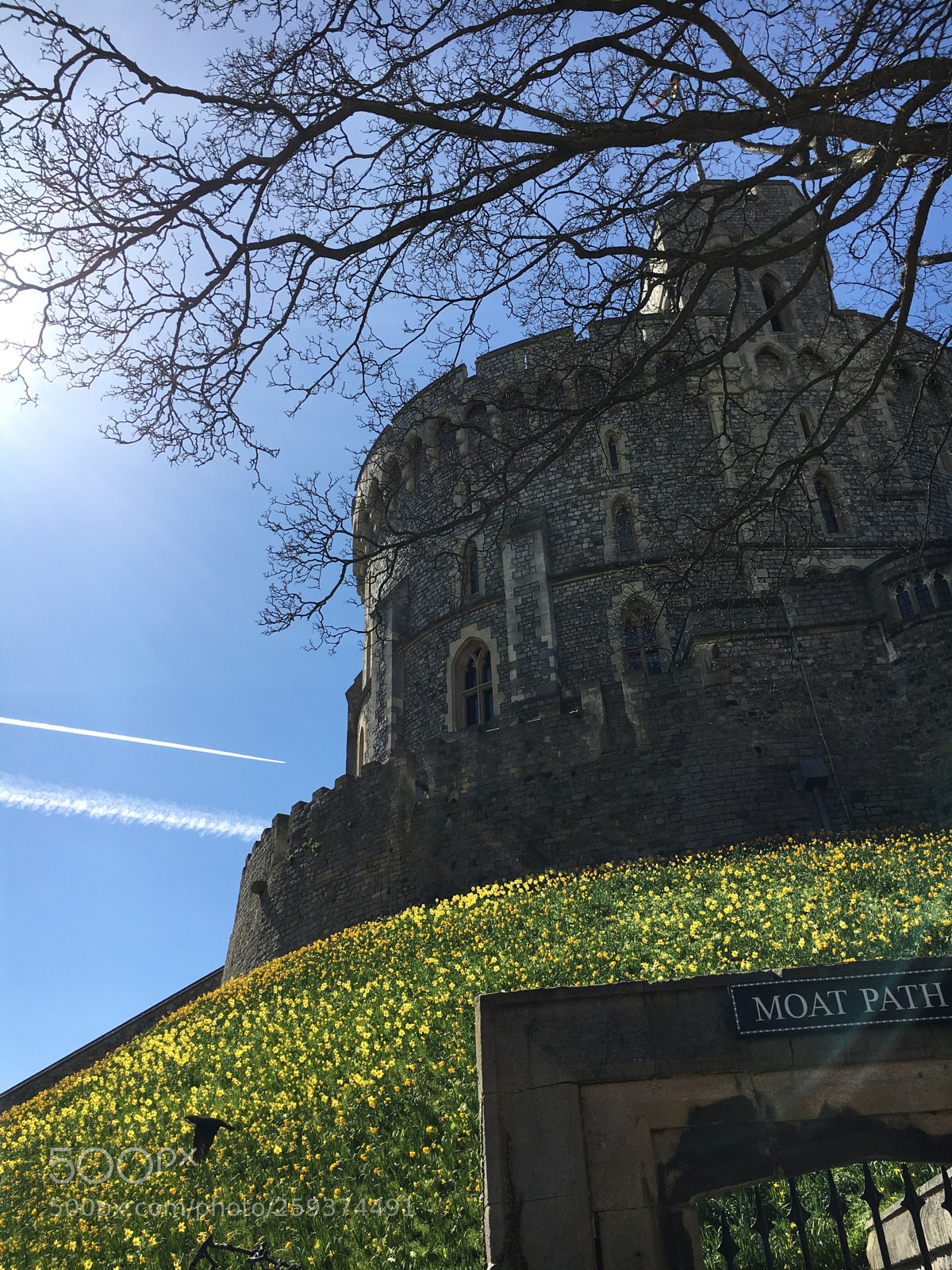 Apple iPhone 6s sample photo. Spring at windsor photography