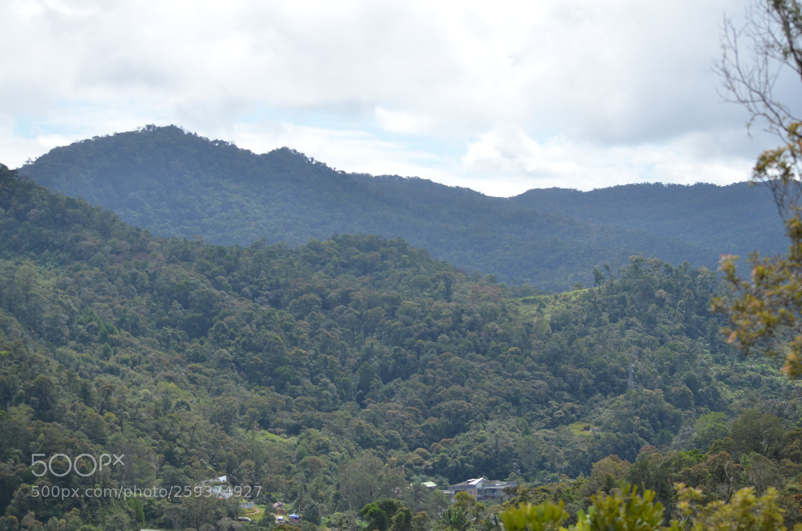 Nikon D7000 sample photo. Fhu photography