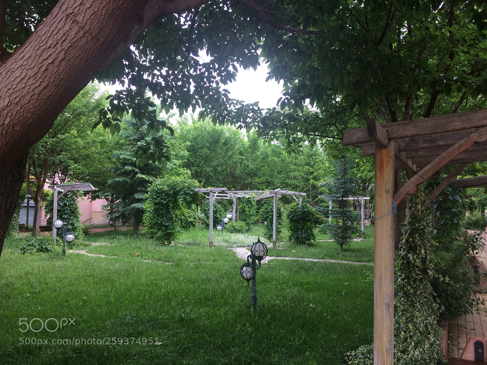 Apple iPhone 5s sample photo. Untitled photography